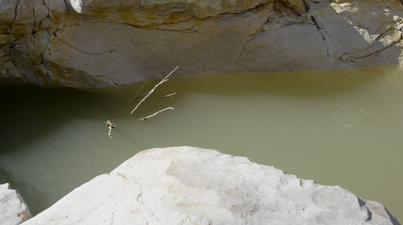 Rock pool, Negev - 2010