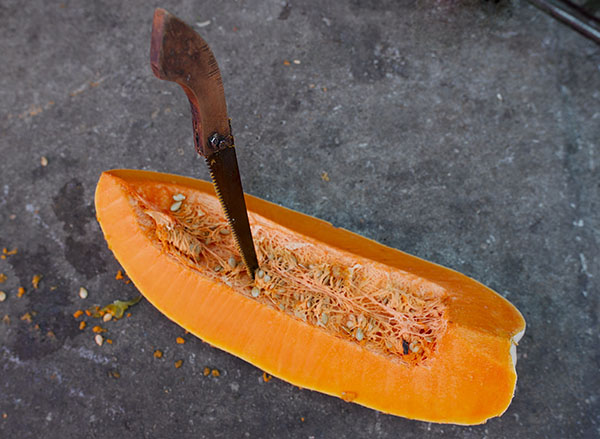 pumpkin, netanya market