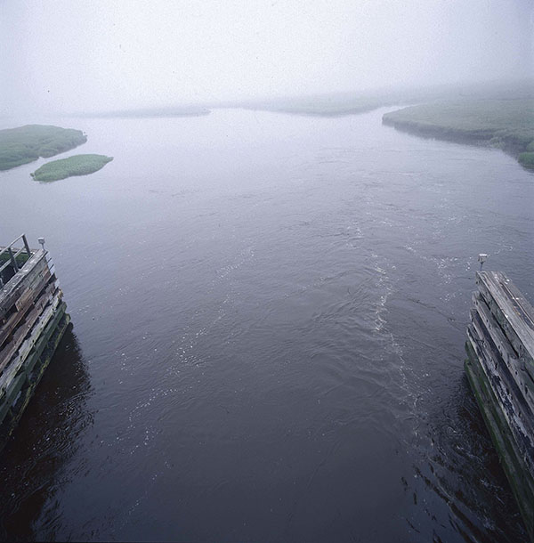 Water at Plum Island