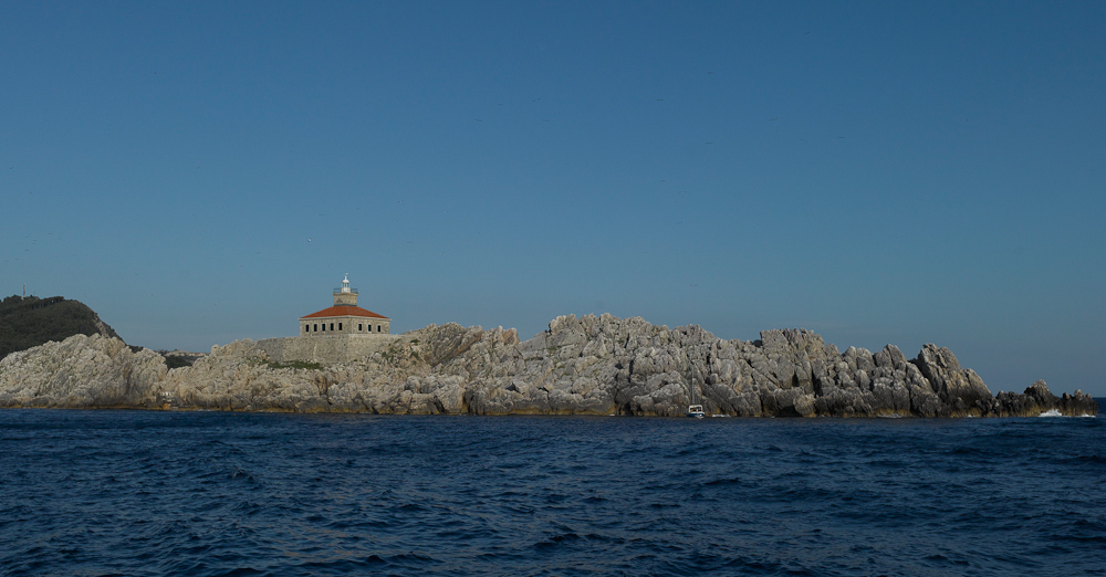 Island with seagulls